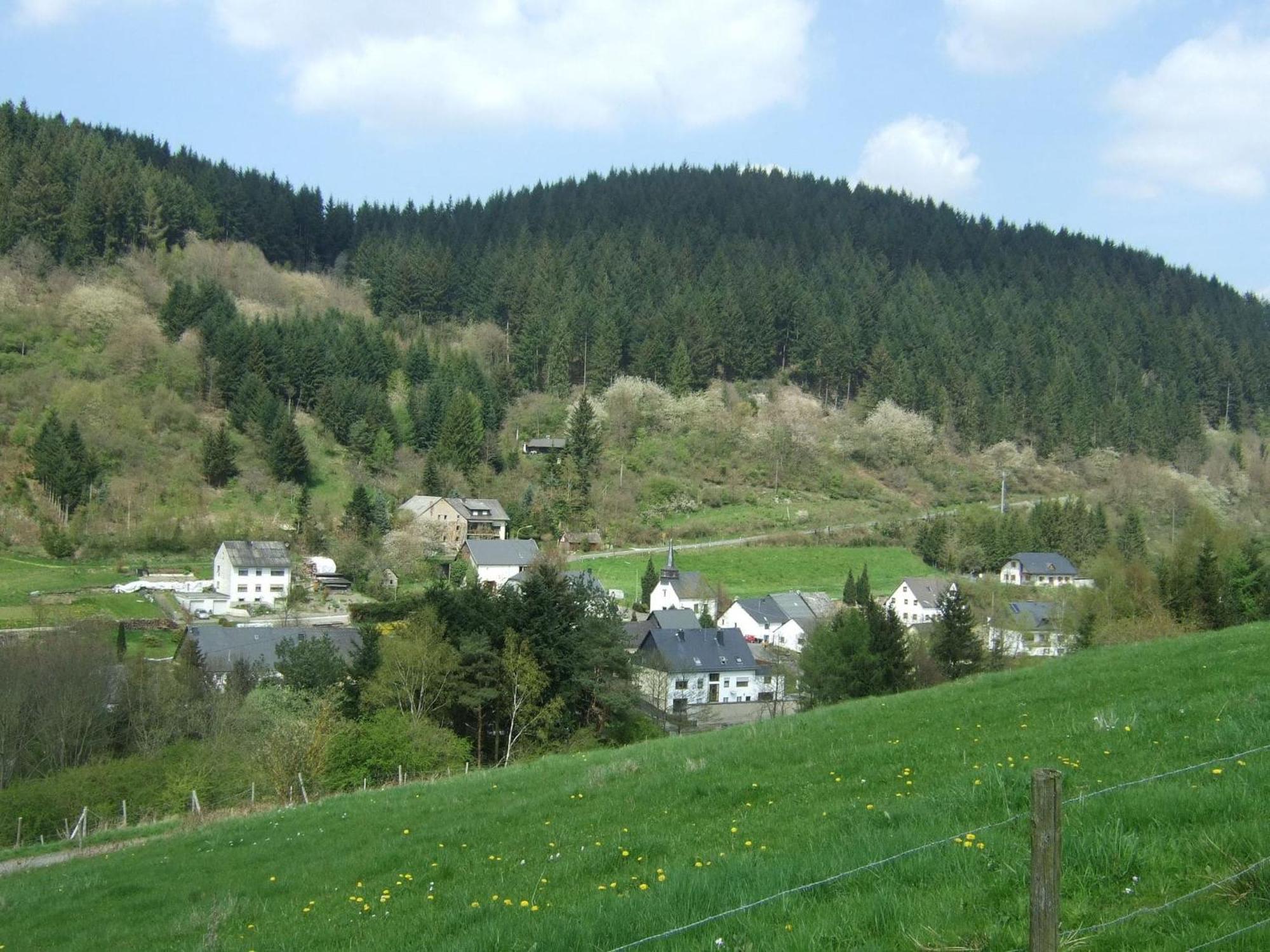Beautiful Apartment In Merschbach With Garden エクステリア 写真